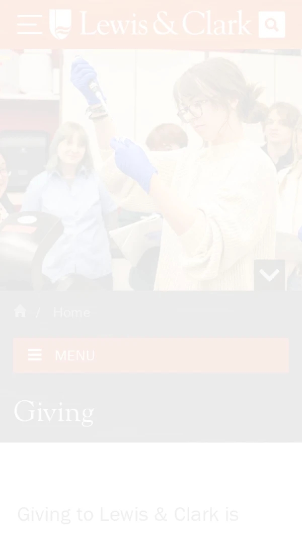 Mobile screenshot