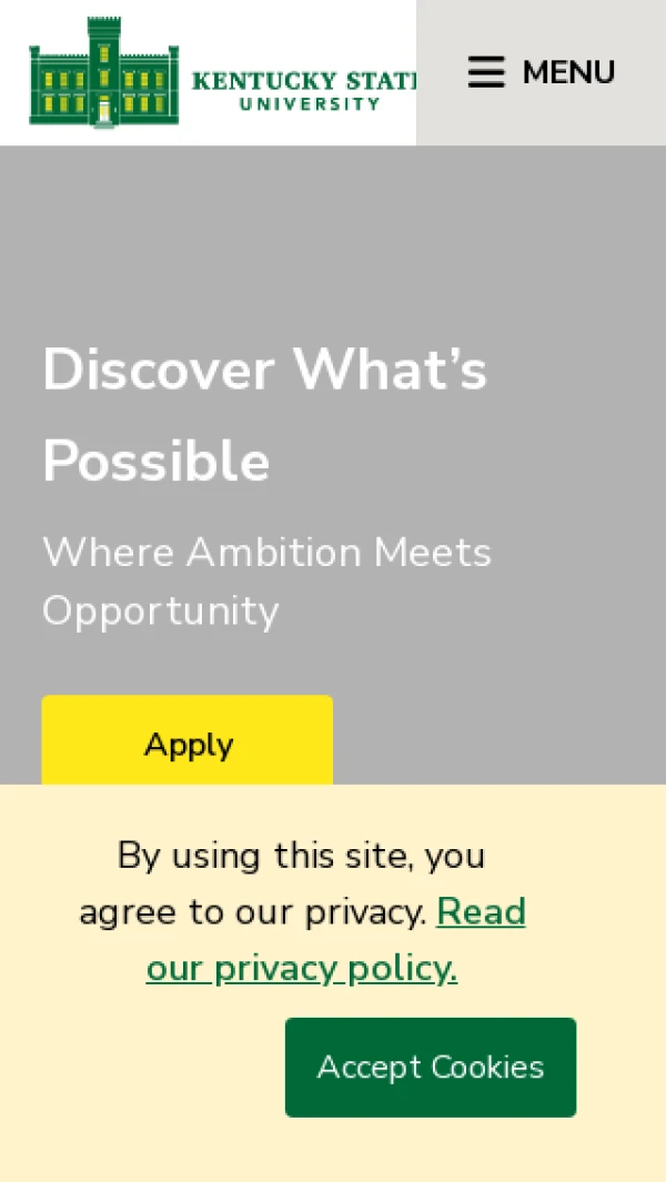 Mobile screenshot