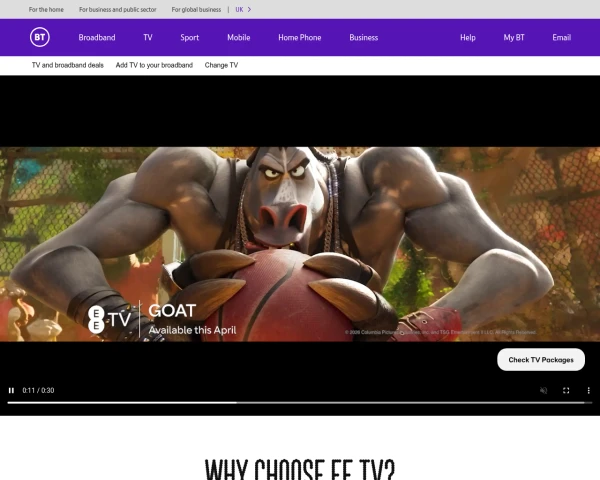 screenshot of BT TV website