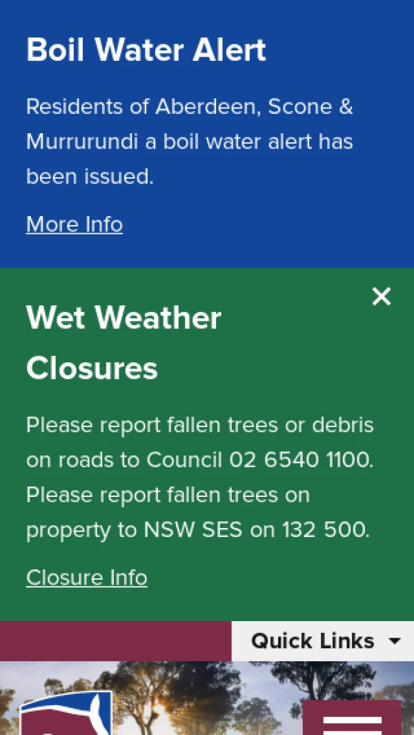 Mobile screenshot