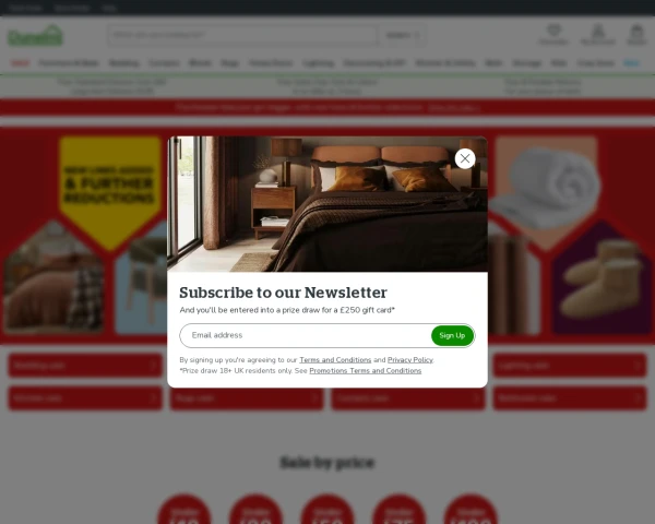 screenshot of Dunelm website