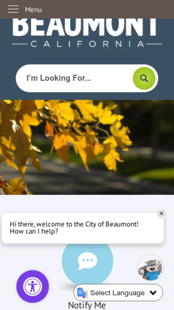 Mobile screenshot
