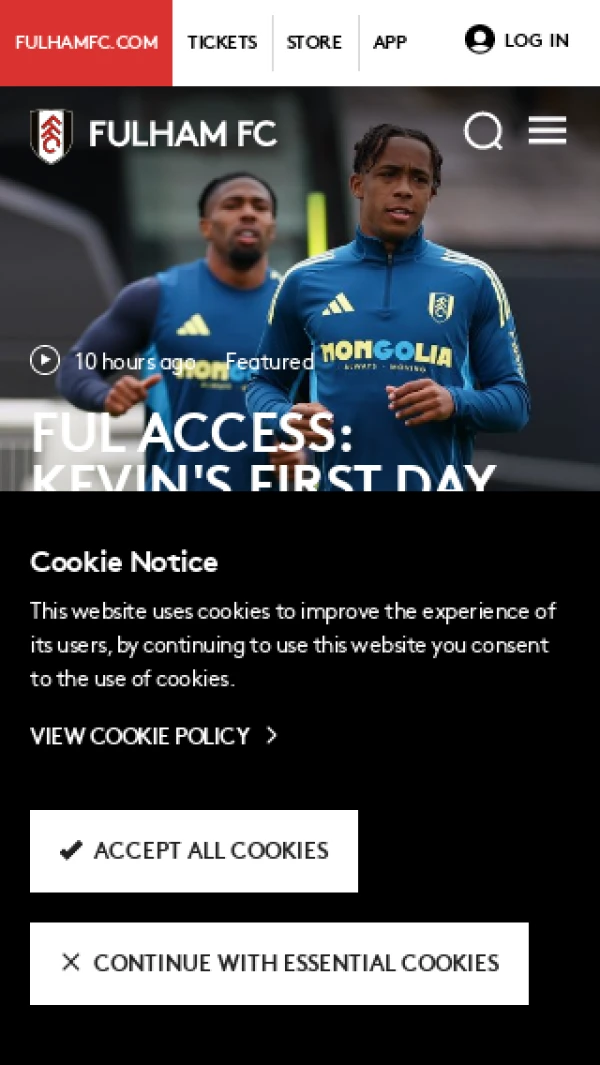Mobile screenshot