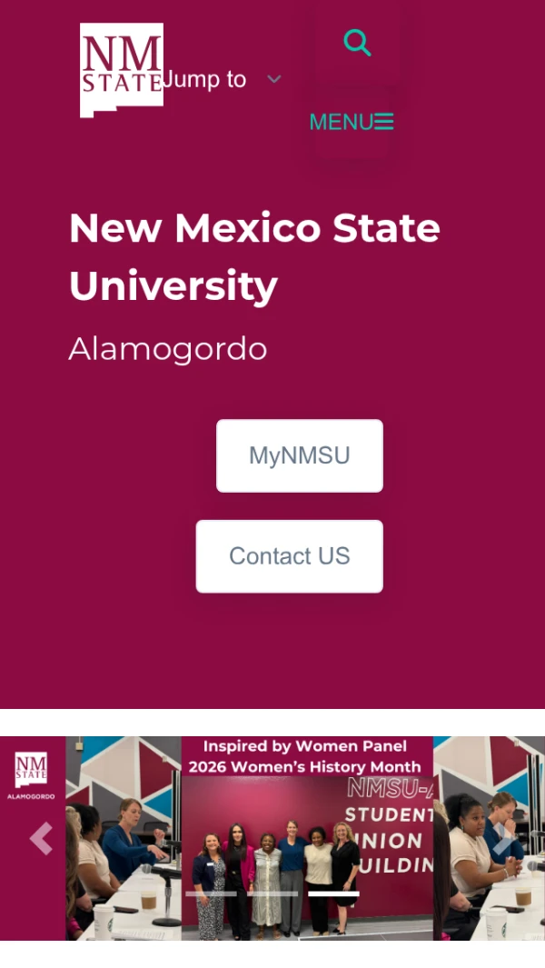 Mobile screenshot