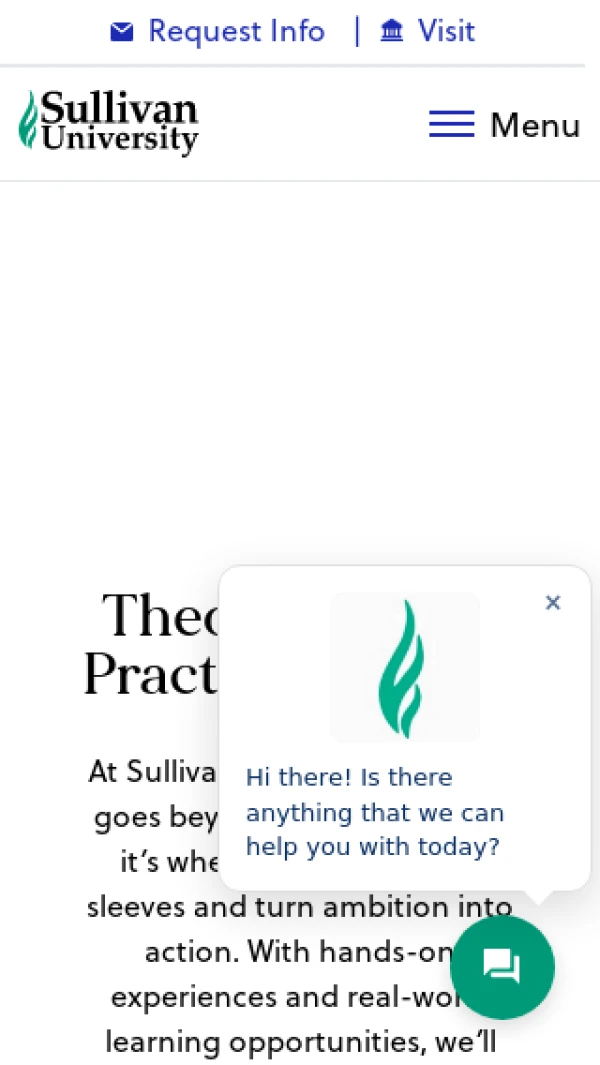 Mobile screenshot