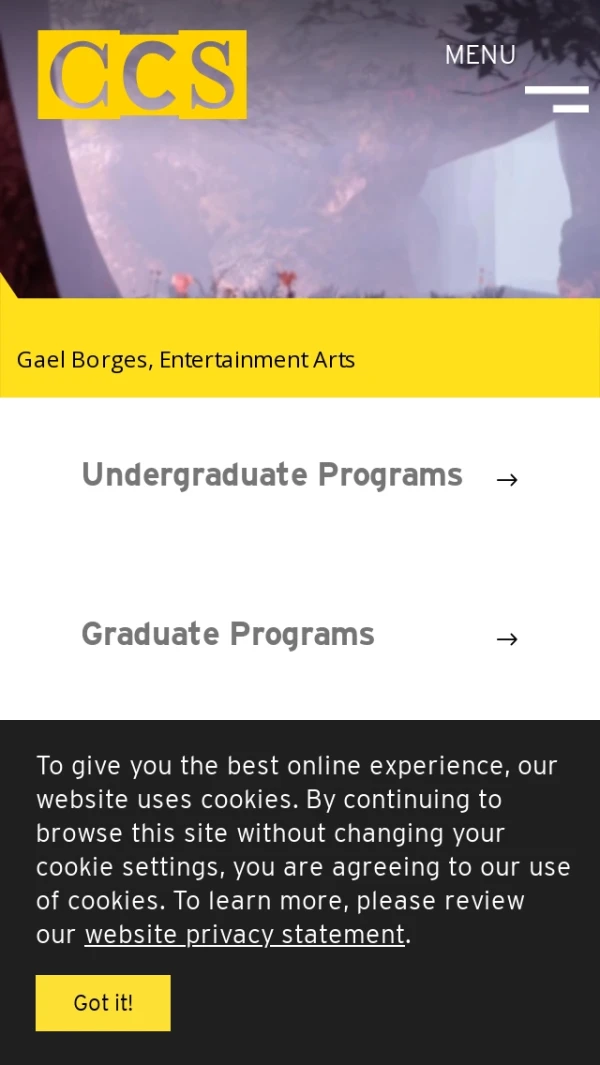 Mobile screenshot