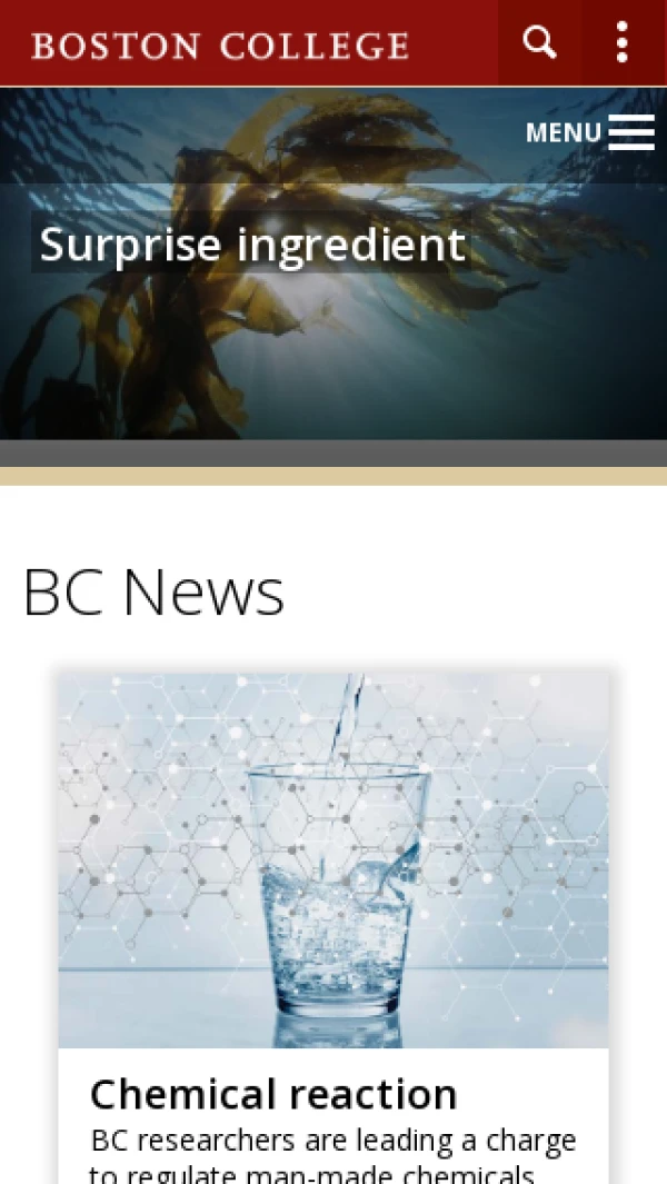 Mobile screenshot